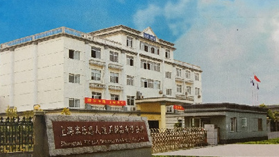 2008 2008